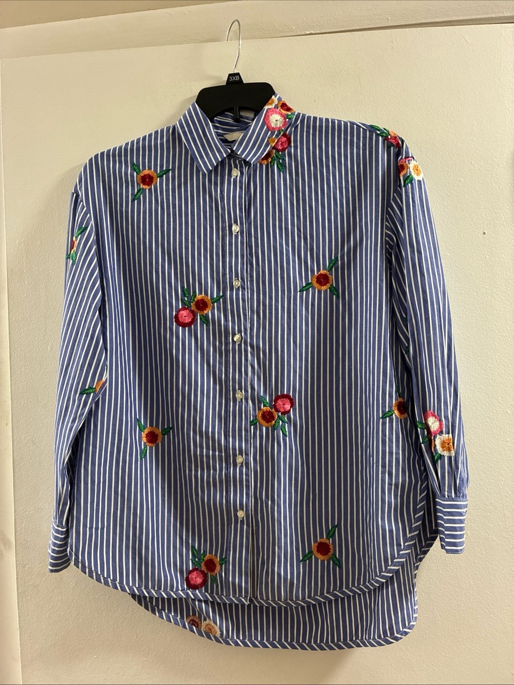 H&M Blue and White Striped Button-Down Shirt with Floral Embroidery
